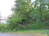 Enlarge photo 26