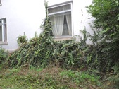 Enlarge photo 30