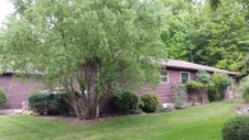 Enlarge photo 43