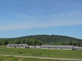 Enlarge photo 85