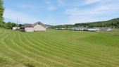Enlarge photo 41