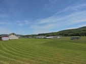 Enlarge photo 42