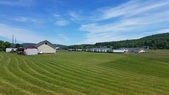 Enlarge photo 103
