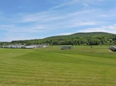 Enlarge photo 55