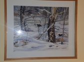 Enlarge photo 31