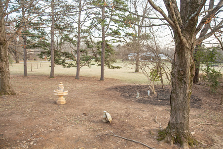 Enlarge photo 107
