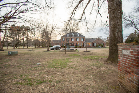 Enlarge photo 135
