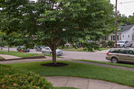 Enlarge photo 8