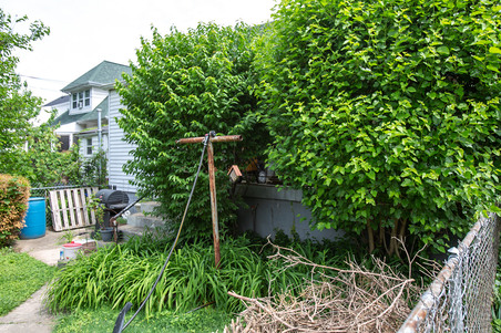 Enlarge photo 20