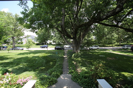 Enlarge photo 107