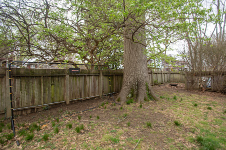 Enlarge photo 19