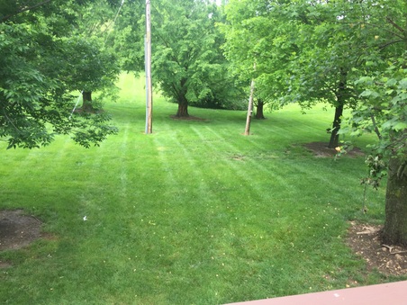 Enlarge photo 6