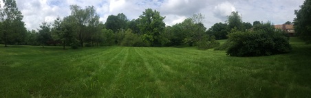 Enlarge photo 13