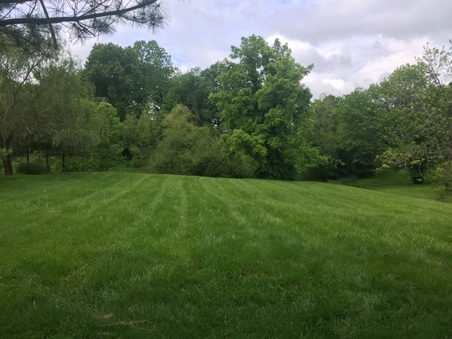 Enlarge photo 29