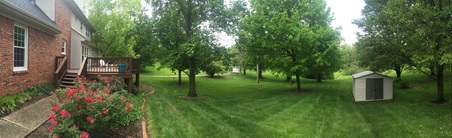 Enlarge photo 28