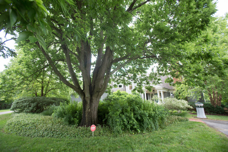 Enlarge photo 147