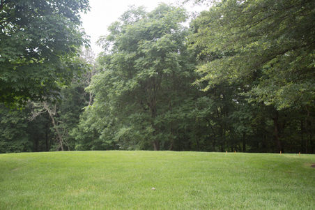 Enlarge photo 150