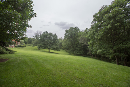 Enlarge photo 151