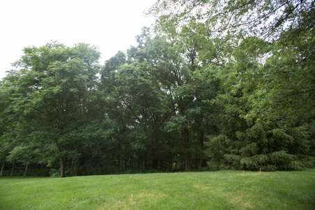 Enlarge photo 152