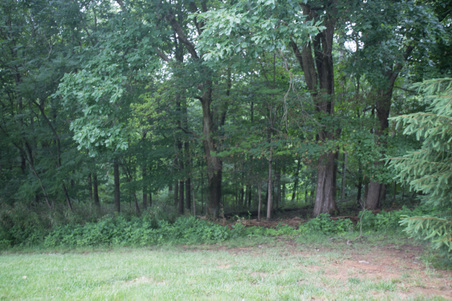 Enlarge photo 153