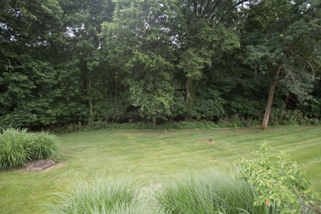 Enlarge photo 162