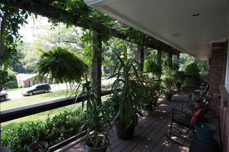 Enlarge photo 46
