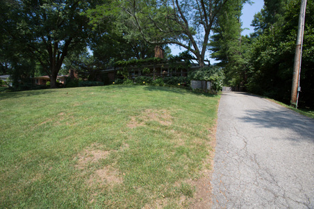 Enlarge photo 52