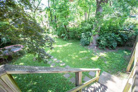 Enlarge photo 115
