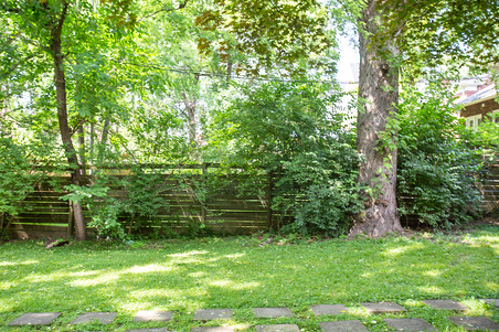 Enlarge photo 135