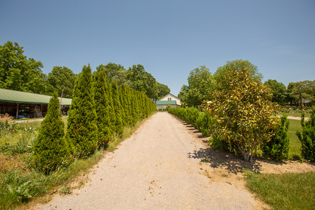 Enlarge photo 39