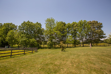 Enlarge photo 48