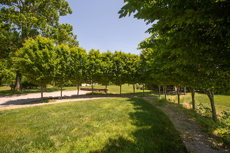 Enlarge photo 50