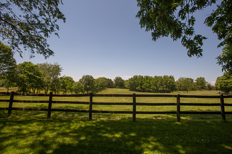 Enlarge photo 52