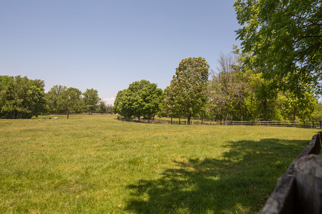 Enlarge photo 53