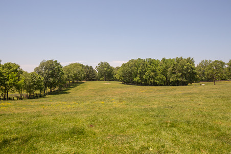 Enlarge photo 54