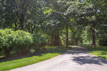 Enlarge photo 58