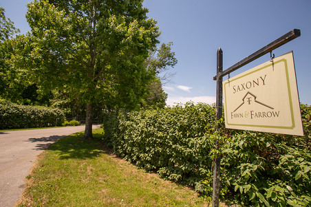 Saxony Fawn and Farrow Farm Property
