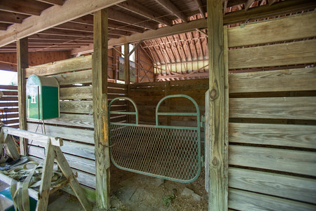 Enlarge photo 13