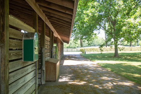 Enlarge photo 15