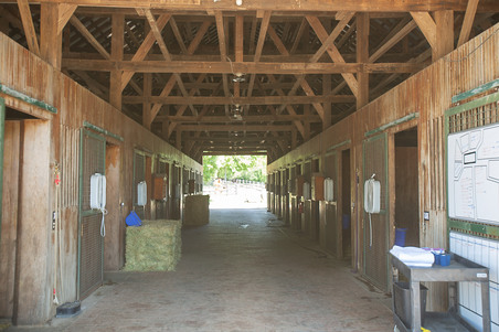 Enlarge photo 21
