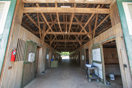 Enlarge photo 22