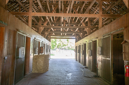 Enlarge photo 23