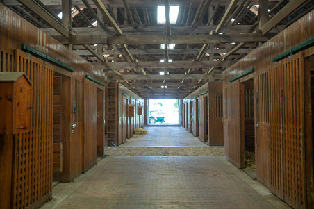 Enlarge photo 36