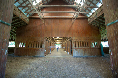 Enlarge photo 43