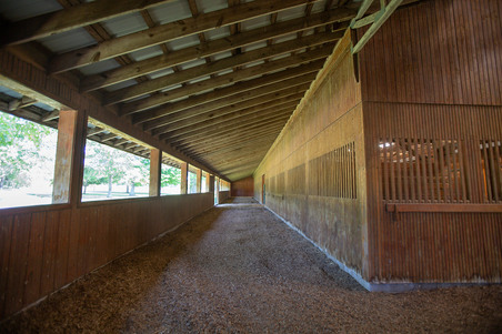 Enlarge photo 48