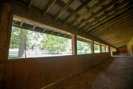 Enlarge photo 50