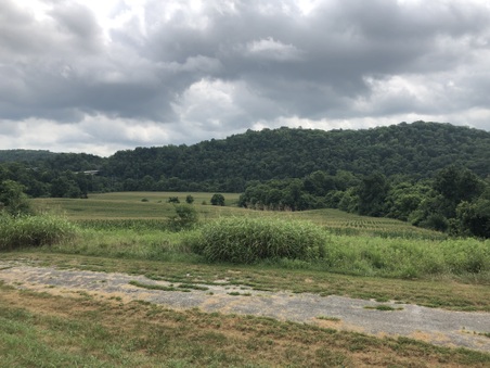 701 Johnson Rd Frankfort, KY