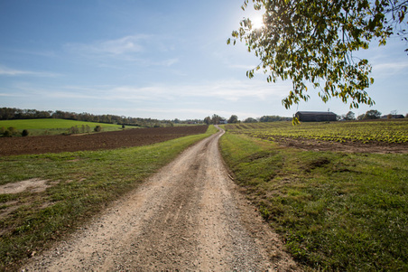 4119 W Leestown Pike (farm)