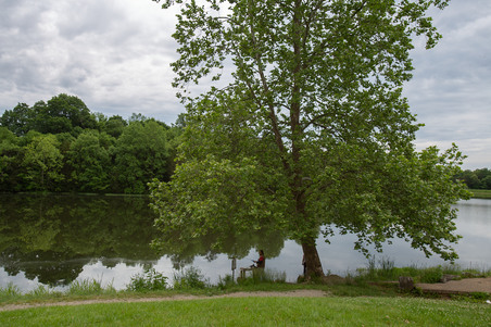 McNeely Lake Park
