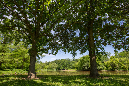 Shelby Lake(Clear Creek Park)